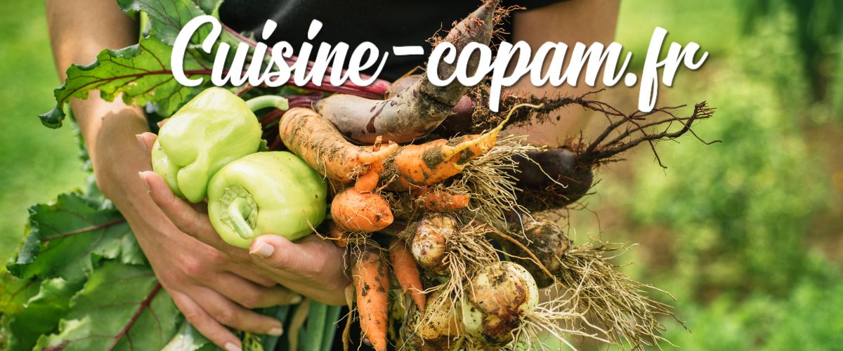 cuisine-copam.ilab.pro